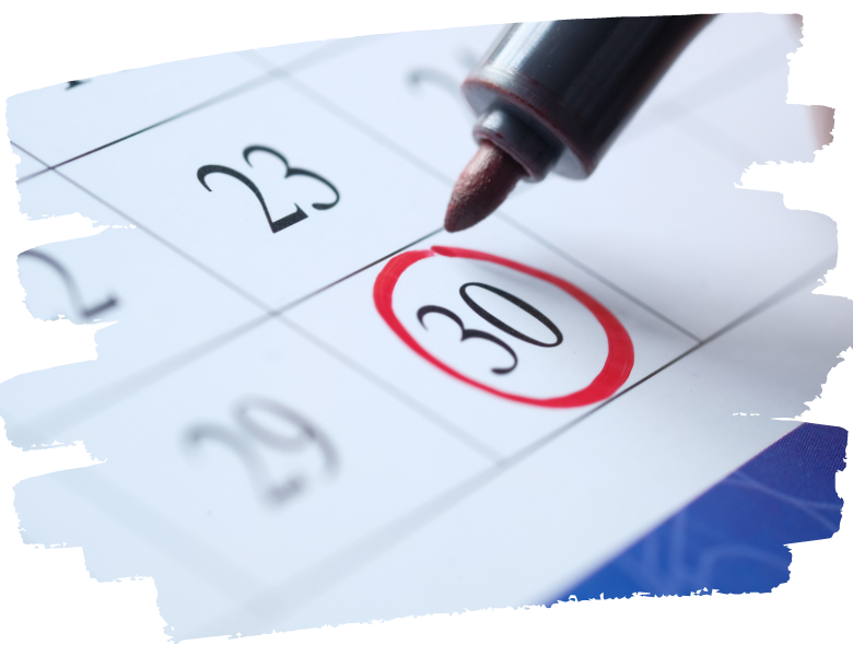 kalendarz zajęć nurkowych Dive Rangers