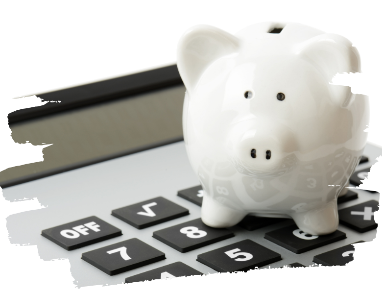 kurs nurkowania z dofinansowaniem Dive Rangers